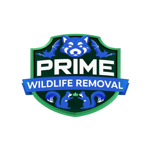 Wildlife Removal Argentine